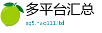 2025精准资料大全免费如王中王493333特马王中王